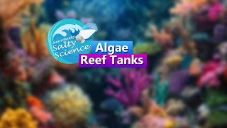 Algae and Reef Tanks  Seriously Salty Science Saltwater Reef Chat [upl. by Enitsahc754]