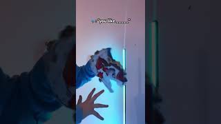 NO ROZZY DONT CHILL AAUAYGSHSHFHFJJ👹👹 fypシ viral funny paperdragon dragonpuppets [upl. by Kcod]