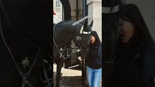 IT BIT MY ARM Epic Moments Horse Guards [upl. by Furnary641]