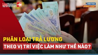 Cách Phân Loại Để Trả Lương Theo Vị Trí Việc Làm Như Thế Nào  LuatVietnam [upl. by Dorolisa]