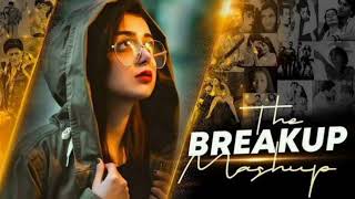 Breakup Mashup 2024  Sad Love Songs  Broken Heart Mashup  Journey of Love Mashup 2024 [upl. by Laeria]