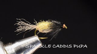 Sparkle Caddis Pupa By Charlie Craven [upl. by Nej607]