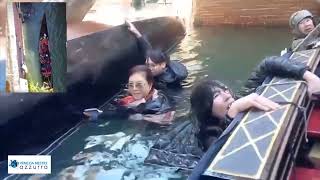 INCIDENTE A VENEZIA GONDOLA SI ROVESCIA IN CANALE TURISTI FINISCONO IN ACQUA [upl. by Rednazxela]