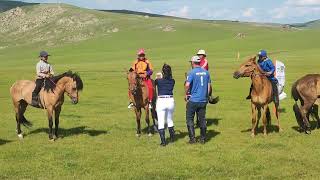 A traditional Mongolian horse race and wrestling performance at Genghis Khan Retreat in June 2024 [upl. by Yesac772]