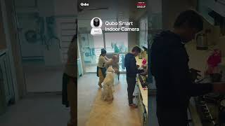 Missing your Dog at work  GetSmartGetQubo  Qubo Video Doorbell  Trust of Hero Group [upl. by Yerac688]