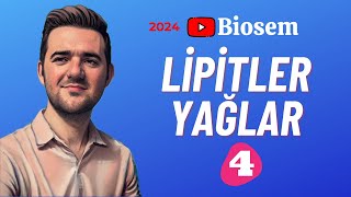 Lipitler  39 Günde TYT Biyoloji Kampı4  9 Sınıf Biyoloji Kampı4 yks2024 [upl. by Odlauso]