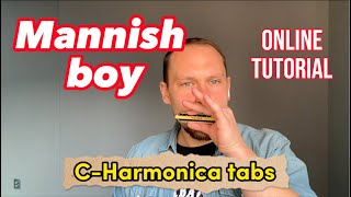 How to play Mannish boy  easy CHarmonica lesson with Backing track and TABS [upl. by Ias]