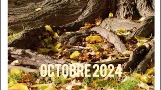 Prévisions octobre pour les signes astro en description 🌼🍁 [upl. by Ruddie]