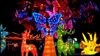 North Carolina Chinese Lantern Festival [upl. by Letitia]