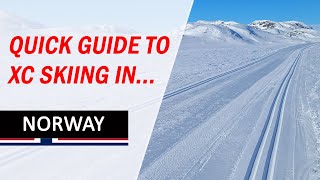 2Minute Introduction to CrossCountry Skiing in Norway 🇳🇴 [upl. by Kassaraba]