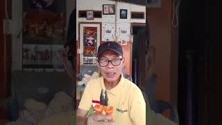 Nangkep Kepiting Besar viral viralvideo shorts [upl. by Luzader723]