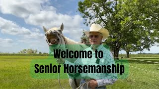 Welcome to Senior Horsemanship [upl. by Inobe47]