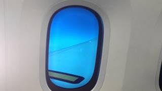 Boeing 787 Dreamliner Window Dimming [upl. by Nuajed]