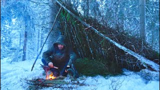 Winter Survival and Bushcraft  Alone in the Bitter Cold [upl. by Aziar]