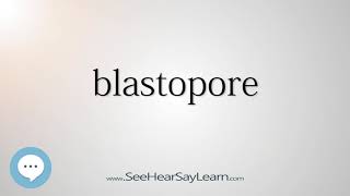 blastopore [upl. by Anoli]