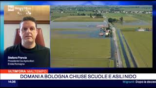 RAI NEWS 24  Intervista a Stefano Francia presidente CiaAgricoltori Emilia Romagna [upl. by Anilram976]