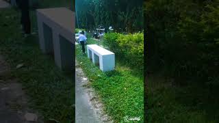 যখন অবহেলায় মূল্য কমে যায় nature trending short shortvideo viralvideo video motivation [upl. by Nathanson34]