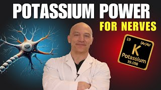 The Surprising Power of Potassium for Nerves  The Nerve Doctors [upl. by Coats]