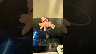 Cinderwing 3D Mushroom Spider shorts [upl. by Langley]