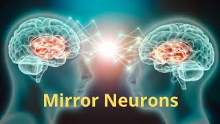 Understanding Mirror Neurons How They Shape Empathy and Learning [upl. by Ylak]