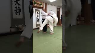 2024 Aikido Ryu Kagami biraki  Ando shihan aikido martialarts åˆæ°—é“ æ­¦é“ [upl. by Atem]