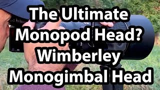 The Ultimate Monopod Head Wimberley Monogimbal Head Review [upl. by Jillian]