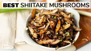 SHIITAKE MUSHROOMS RECIPE  how to cook shiitake mushrooms [upl. by Enecnarf]