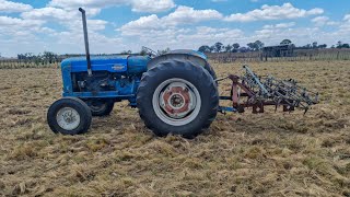 using a drag harrow on our pasture [upl. by Oskar]