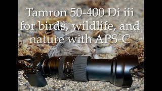 One Fine Lens Tamron 50400 Di iii zoom for bird wildlife and nature photography with APSC [upl. by Ttergram]