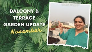 November mein yeh sab lagaya hai balcony aur terrace par  Terrace and Balcony Update [upl. by Petrina]