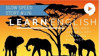 Deep English  Elephant Whisperer slow speed [upl. by Isbella]