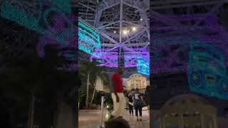 Light show  Gaylord Palms resort Orlando Fl 2023 themepark gaylord orlando [upl. by Eugilegna177]