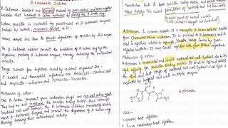 Topic 10 Beta Lactam Antibiotics  Beta Lactamase Inhibitor amp Monobactam Antibiotics  Antibiotics [upl. by Arraeic306]