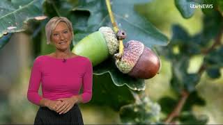 Ruth Dodsworth ITV Weather 15th October 2024 [upl. by Zohar]