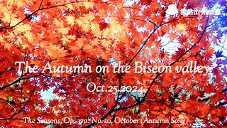 4KUHD The Seasons Op 37a No 10 October Autumn Song 飛仙臺 [upl. by Errecart]