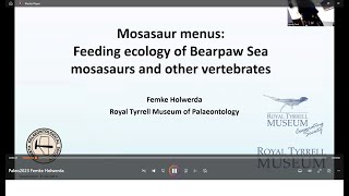 Dr Femke Holwerda Mosasaur menus Feeding ecology of Bearpaw Sea mosasaurs and other vertebrates [upl. by Oreste469]