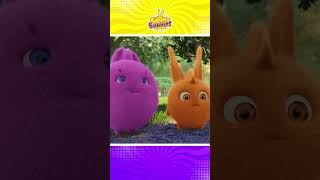 SUNNY BUNNIES  Magic Potion funnycartoon kidscartoon ytshorts shortsfeed [upl. by Rebekah]