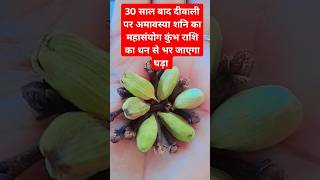 30साल बाद दीवाली अमावस्या पर महासंयोग कुंभ राशि का धन से भर जाएगा घर horoscoperashifalastrology [upl. by Fawna]