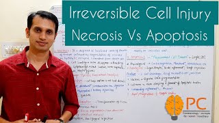 Irreversible Cell Injury or Cell Death Pathology  Necrosis Vs Apoptosis [upl. by Sculley]