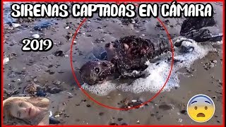 TOP 6  NUEVAS SIRENAS CAPTADAS EN CÁMARA 2019 ¡NO LO CREERÁS [upl. by Adal]