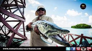 Conociendo la Bahía de Chetumal [upl. by Maziar]