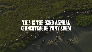 92nd Annual Chincoteague Pony Swim [upl. by Nired]