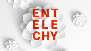 TEDxTUM 2016  Entelechy [upl. by Renell]