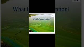 EUTROPHICATION IN DETAIL [upl. by Olnay]