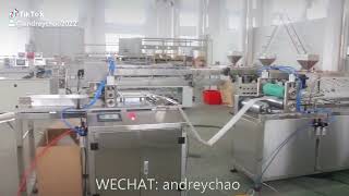 medical soft PVC blood plasma IV bag film sheet extrusion making machine cutting coiling rolling [upl. by Teragramyram276]