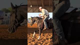 Boon Doc Bailey  2021 AQHA Black Rabicano Reined Cow Horse Mare [upl. by Janos]