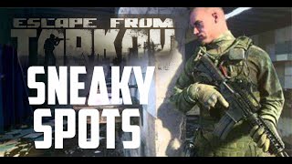 Sneaky Rat Spots In Tarkov PJ VS PMCs Part 10 [upl. by Tomasine]