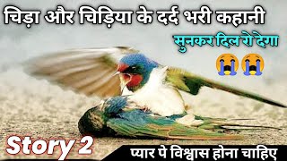 Ek Chida aur Chidiya ki Sachhi Pream Kahani ❣️ Painful love bird story 2  by dil ki aawaz [upl. by Yelknirb434]