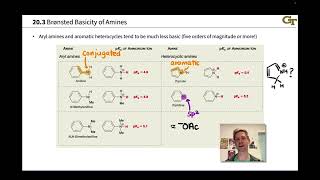 Basicity of Amines [upl. by Sanbo572]