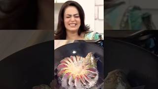 😮Sadia Imam ki ful fish banay ki storyhow to make fish shorts youtubeshorts viralvideo fishfry [upl. by Frisse]